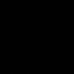 Meet your Posher, Daisy